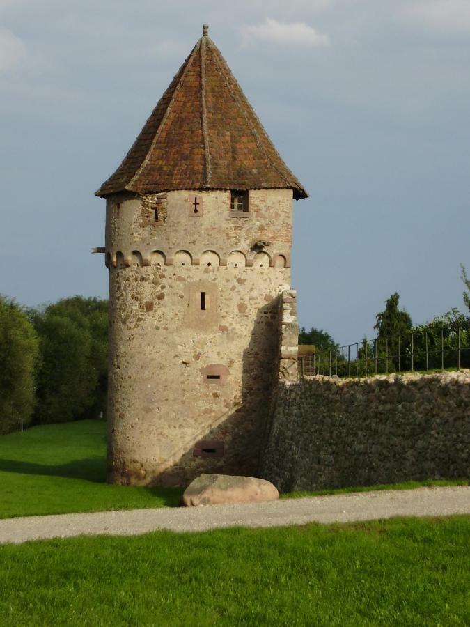 Gite La Maison Bleue Bergheim Buitenkant foto