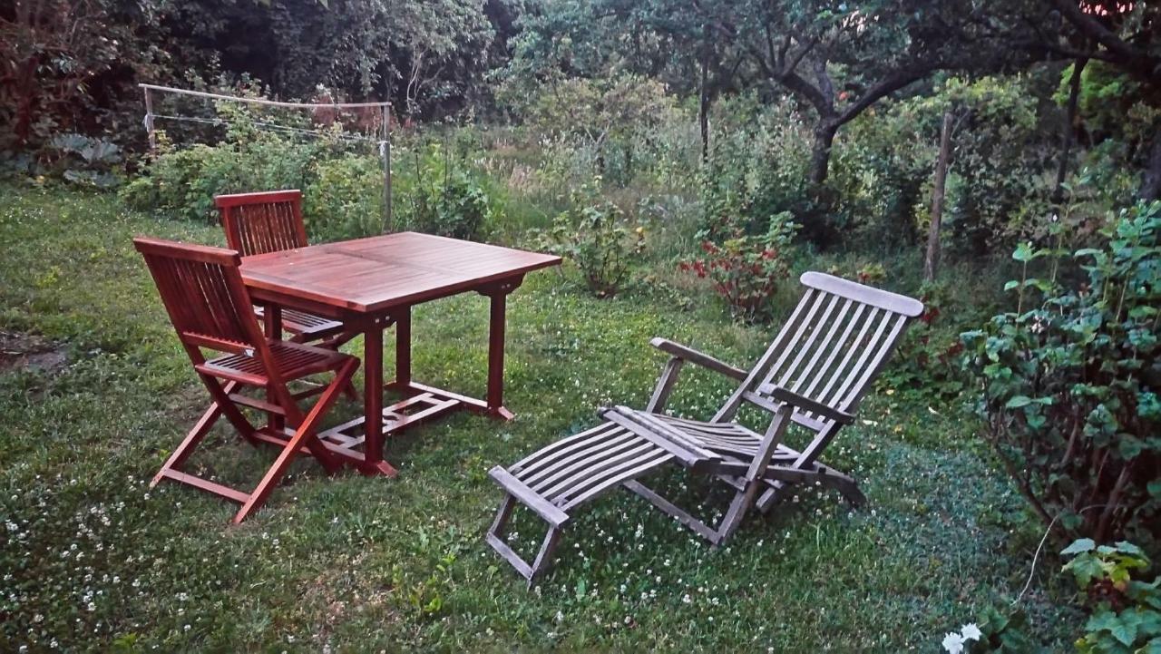 Gite La Maison Bleue Bergheim Buitenkant foto