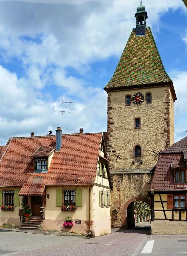 Gite La Maison Bleue Bergheim Buitenkant foto