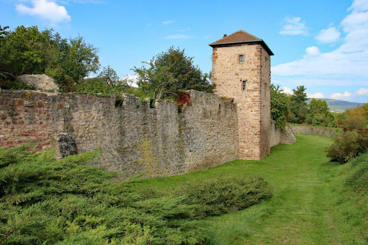 Gite La Maison Bleue Bergheim Buitenkant foto